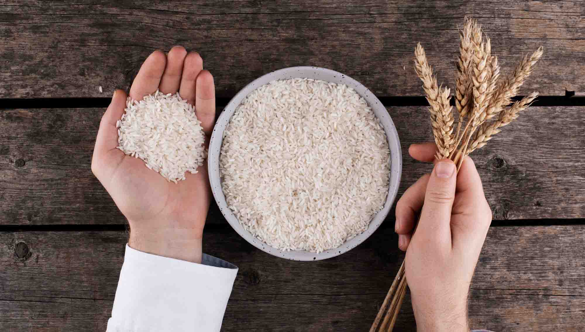 معرفی انواع برنج