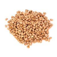 خرید لوبیا سفید
