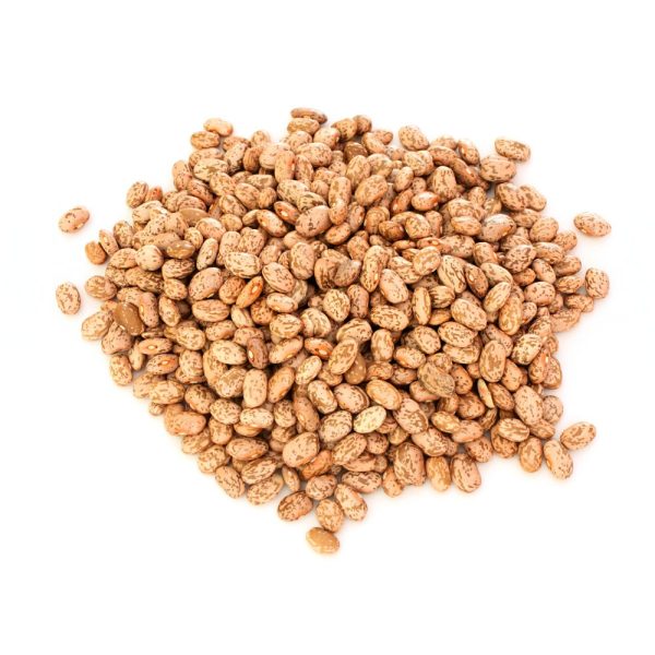 خرید عمده لوبیا چیتی