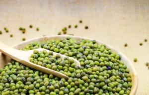 خرید عمده ماش