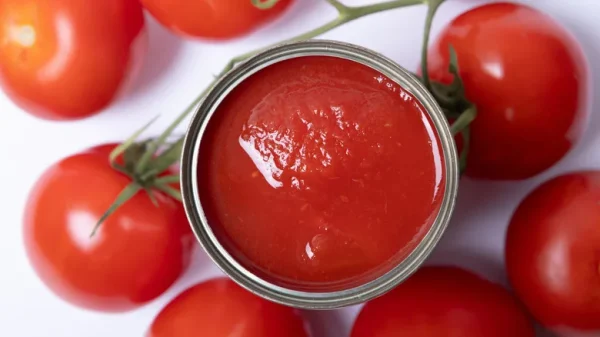 مقایسه رب قوطی با رب شیشه برای خریداران عمده