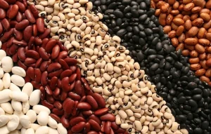 راهنمای خرید عمده لوبیا